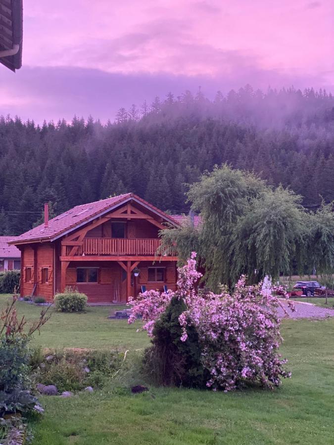 Le Chalet De La Deviniere, Bain Nordique Exterieur Chauffe Xonrupt-Longemer Exterior foto
